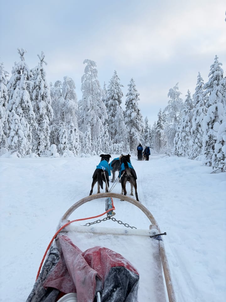 The Dog Sledge Theorem: What a Trip to Lapland Taught Me About Product Teams